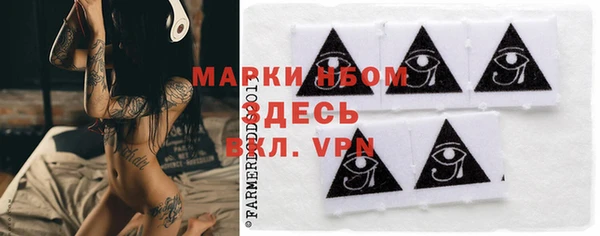 шишки Арсеньев