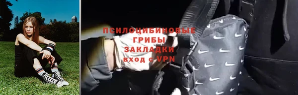 шишки Арсеньев