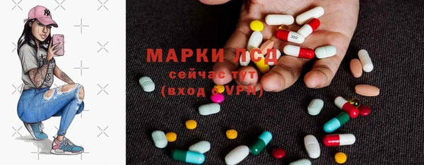 шишки Арсеньев