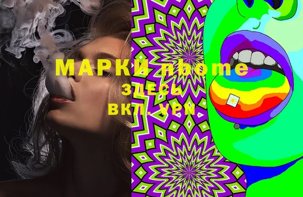 шишки Арсеньев