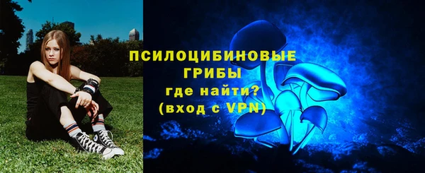 эйфоретик Новокубанск