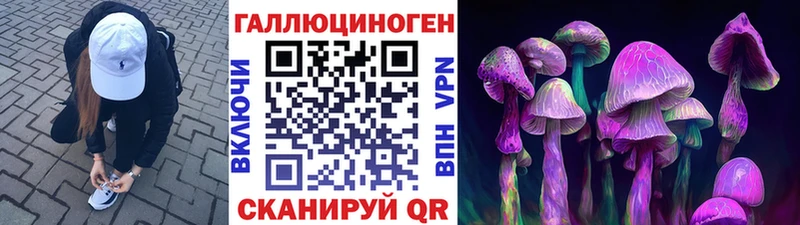 Псилоцибиновые грибы Cubensis купить ОМГ ОМГ зеркало Меленки